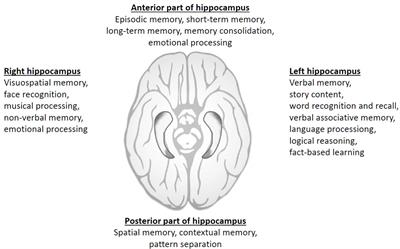 Unilateral hippocampal sparing during whole brain radiotherapy for multiple brain metastases: narrative and critical review